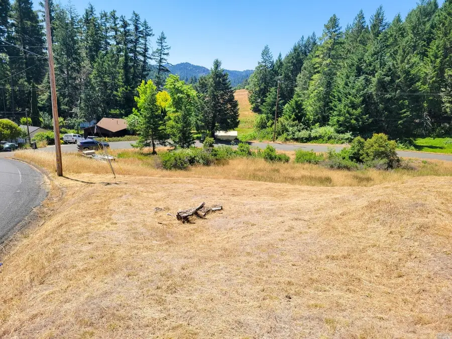 2891 Primrose Drive, Willits, CA 95490 - #2