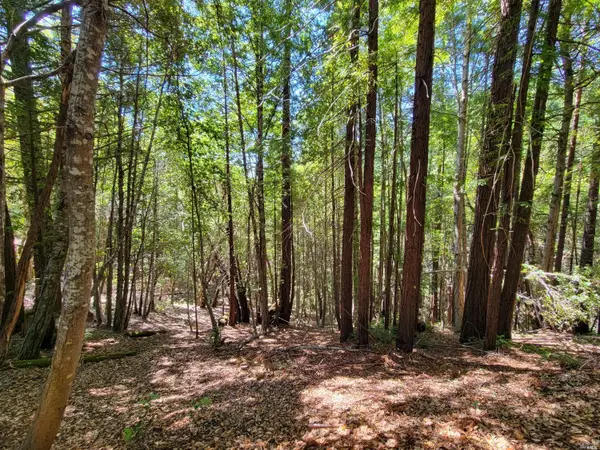 0 Clover Drive, Willits, CA 95490