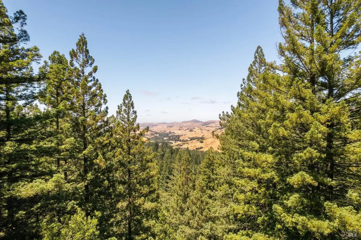 1401 Nicasio Valley Road, Nicasio, CA 94946 - Image #1