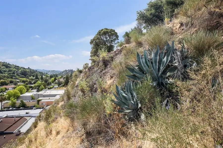 51 El Camino Avenue, San Rafael, CA 94901 - Image #2