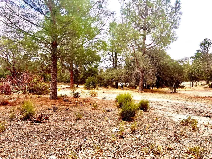 3471 Park Street, Clearlake, CA 95422 - #2