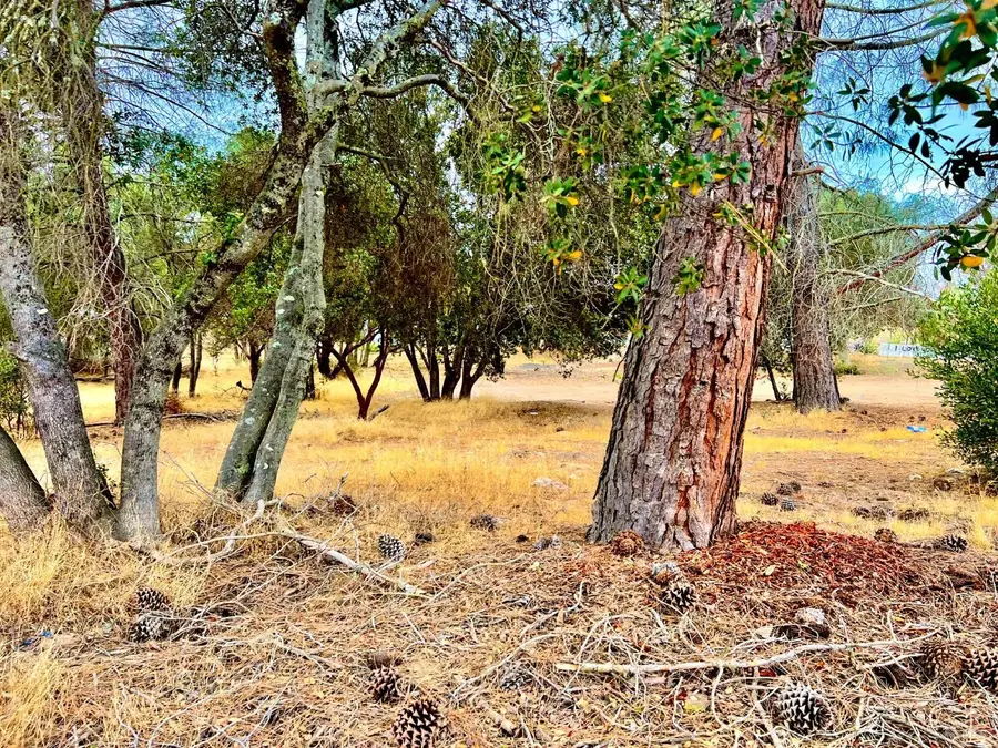 3471 Park Street, Clearlake, CA 95422 - #3