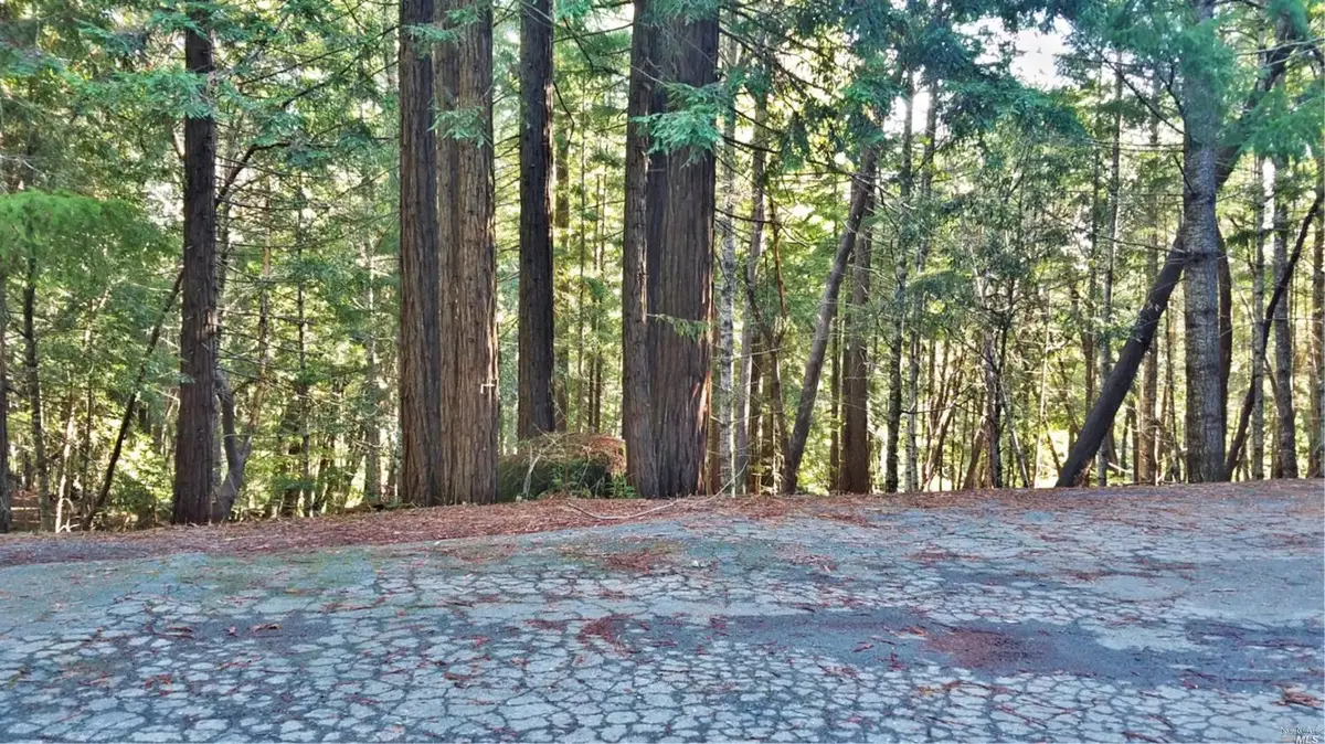 2421 Otter Lane, Willits, CA 95490 - Image #1