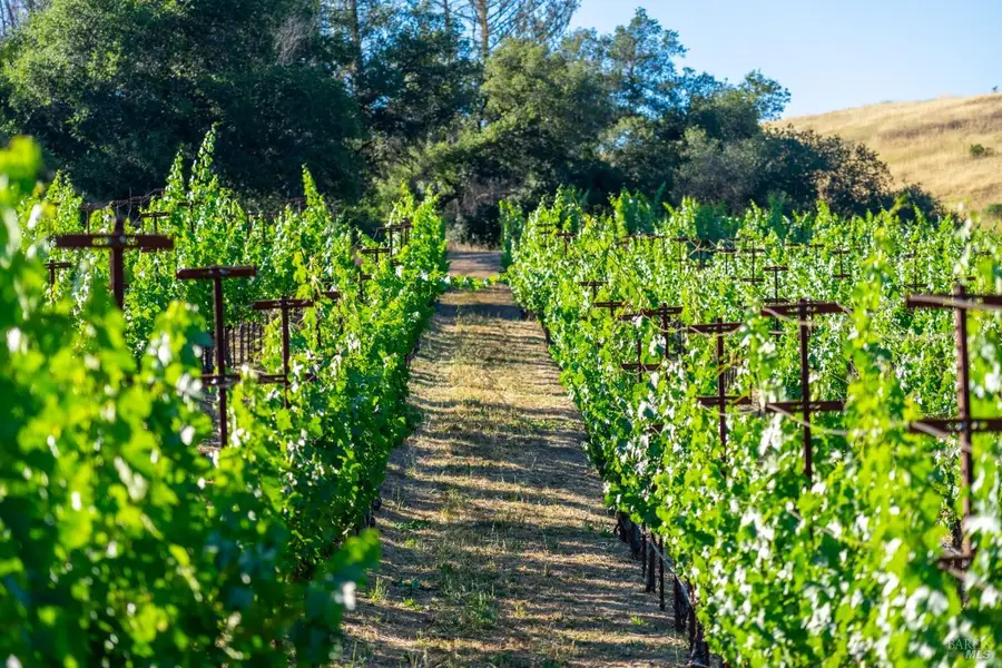 5000 Alpine Road, Santa Rosa, CA 95404 - Image #2