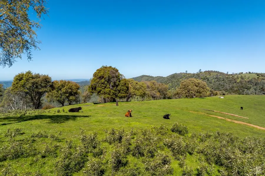 16554 Corcoran Gray Road, Groveland, CA 95321 - Image #3