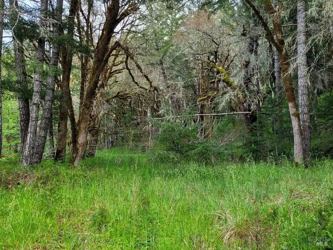 0 Muir Mill Road, Willits, CA 95490 - Image #1