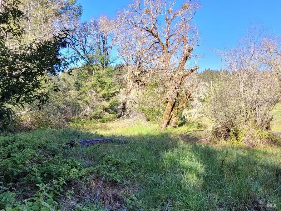 0 Muir Mill Road, Willits, CA 95490 - Image #3