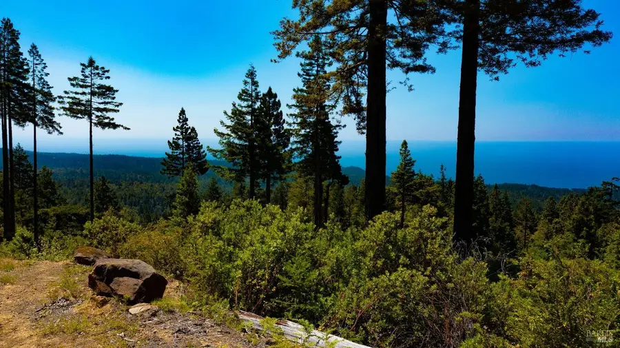 44591 Zettler Road, Point Arena, CA 95468 - Image #2