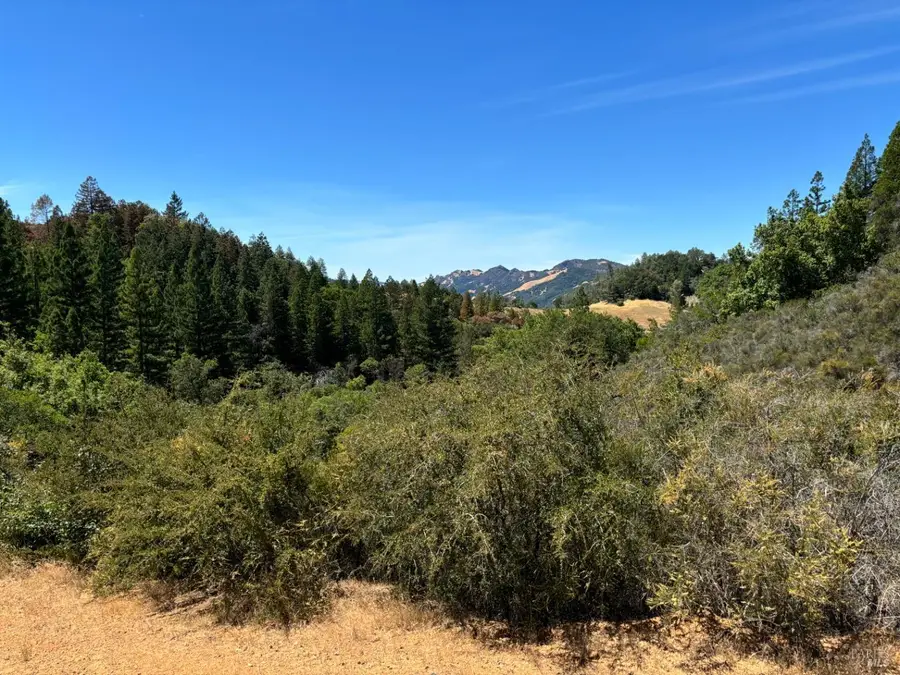 4901 Stewarts Point Skaggs Springs Road, Geyserville, CA 95441 - Image #2