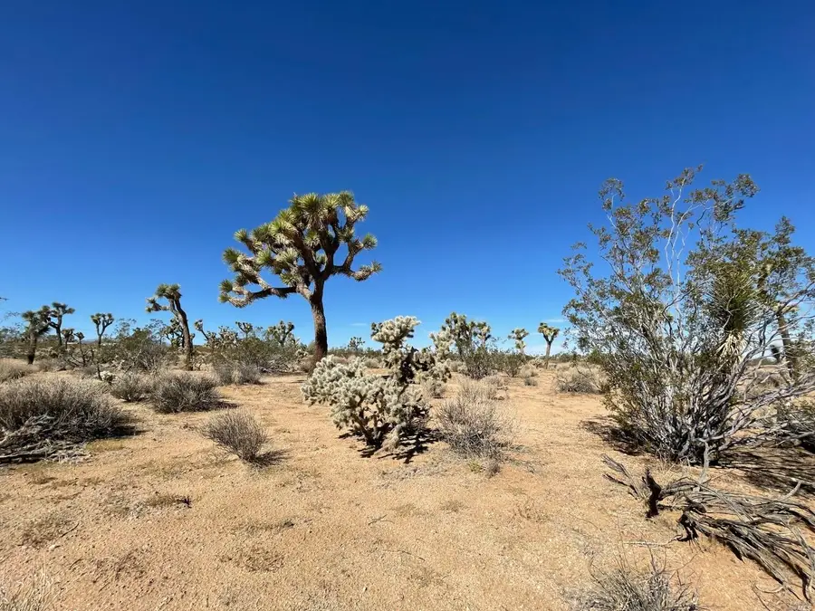 0 Pajara Drive, Yucca Valley, CA 92284 - Image #2