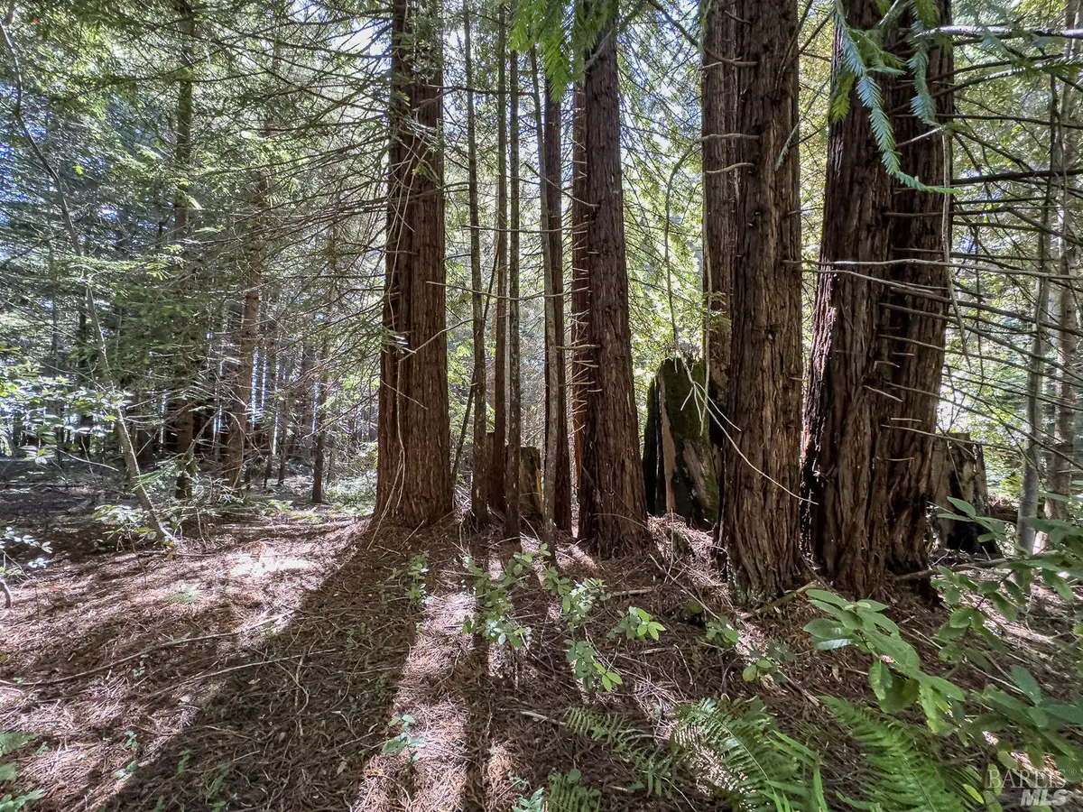 42180 Deer Trail, The Sea Ranch, CA 95497 - Image #1