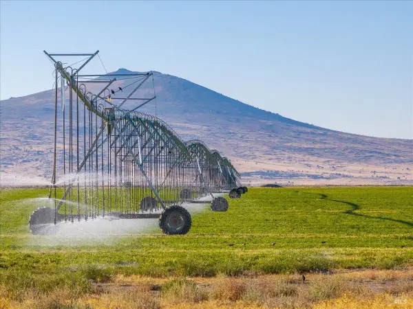 650 Tuledad Road, Ravendale, CA 96123