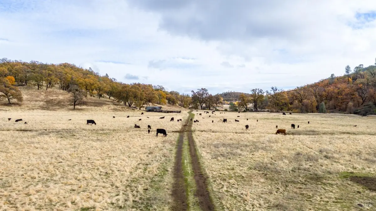 11158 Rocky Creek Road, Lower Lake, CA 95457 - #1