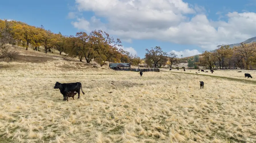 11158 Rocky Creek Road, Lower Lake, CA 95457 - #3