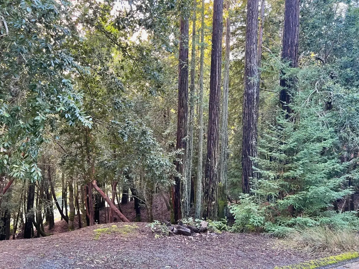 26075 Poppy Drive, Willits, CA 95490 - #1