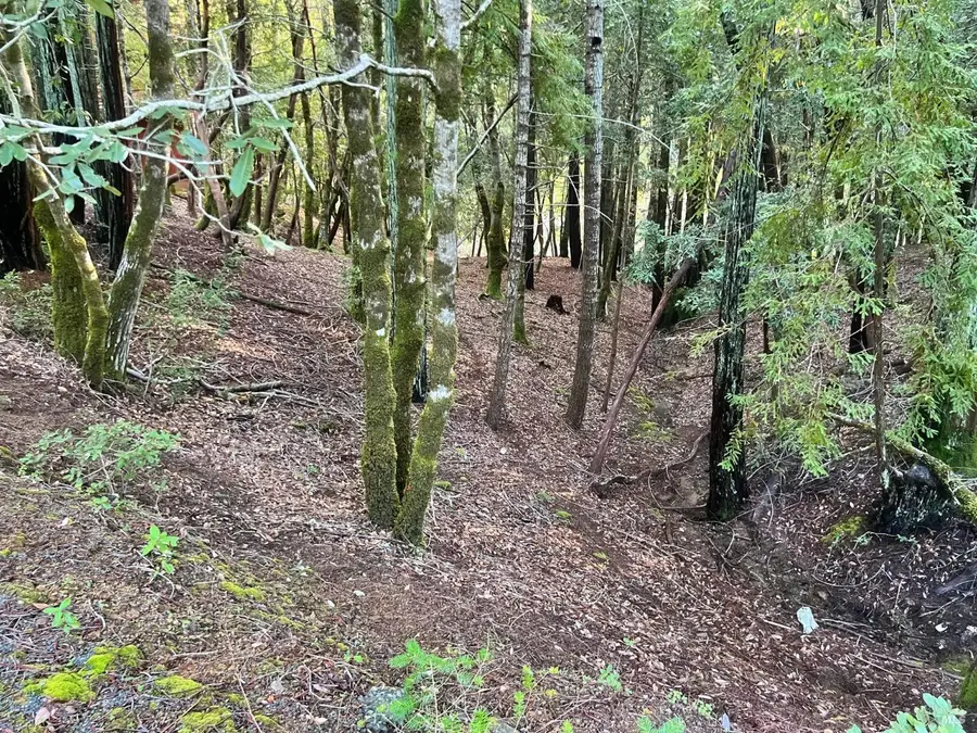 26075 Poppy Drive, Willits, CA 95490 - #2