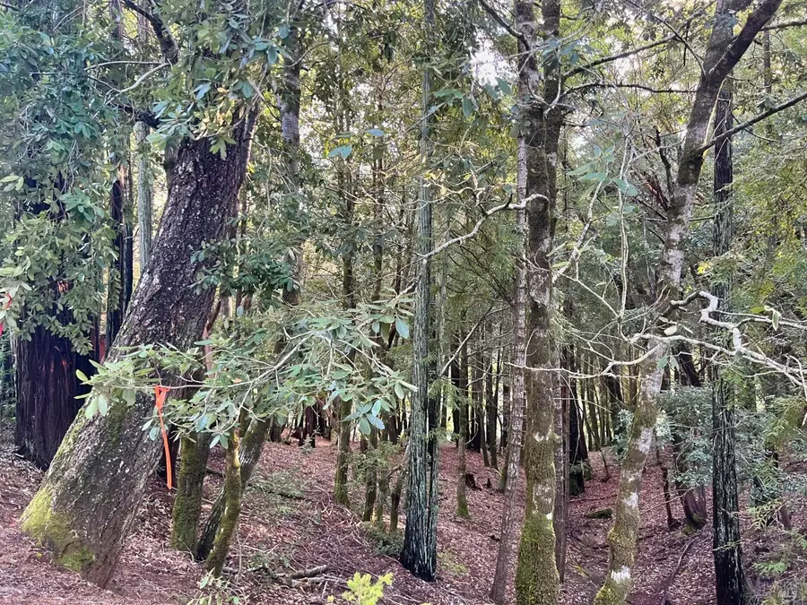 26075 Poppy Drive, Willits, CA 95490 - #3