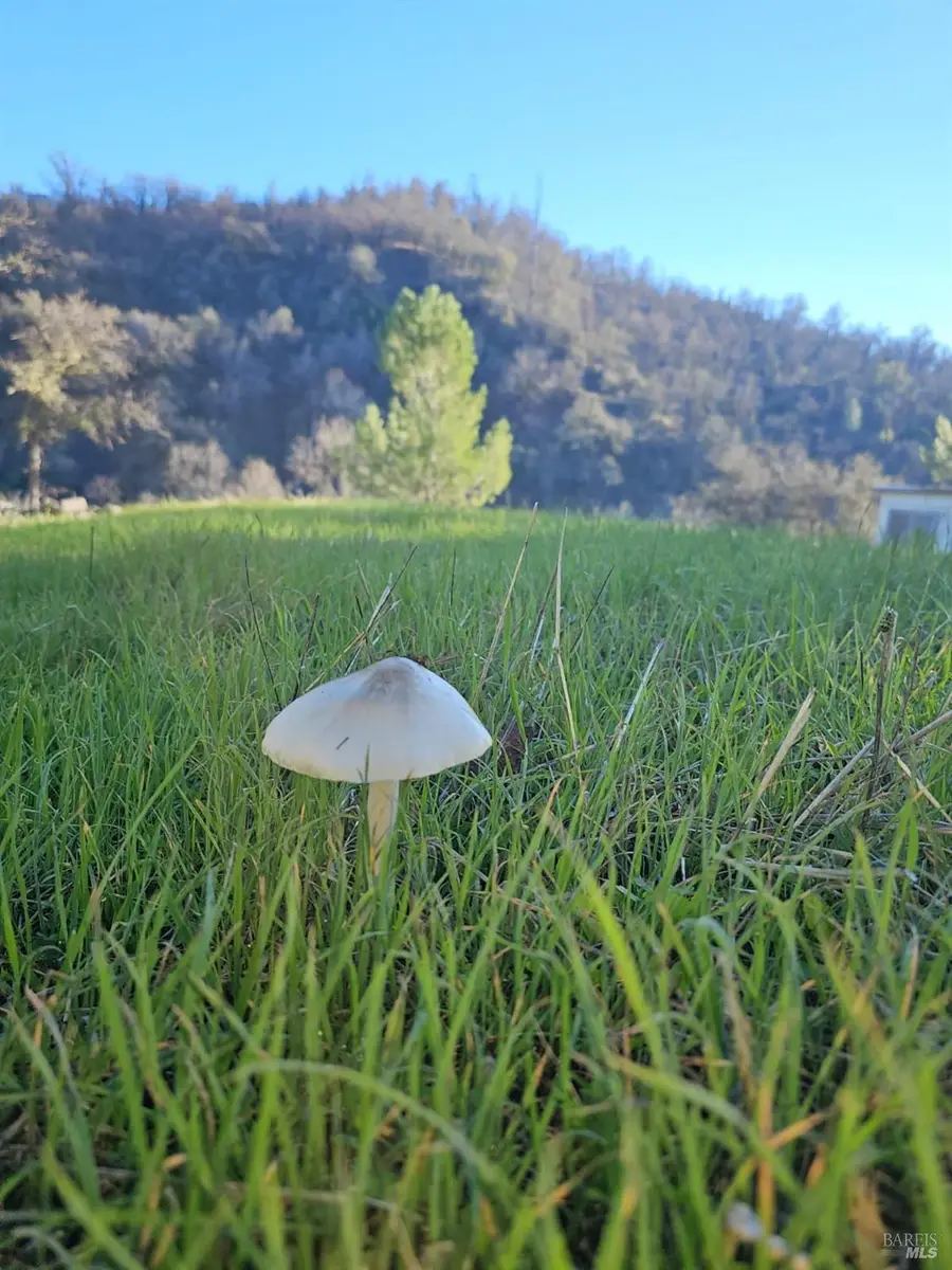 32333 Mendocino Pass Road, Covelo, CA 95428 - Image #3