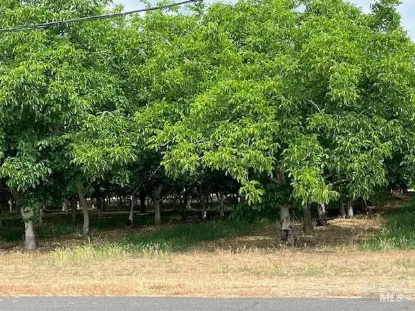 0 Winters Road, Winters, CA 95694