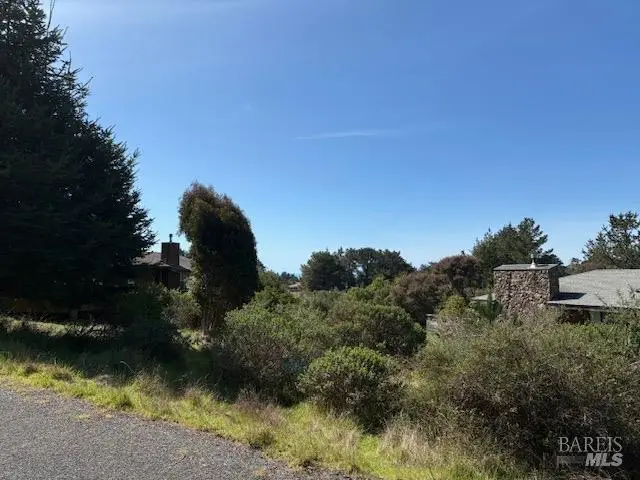 15251 Forest View Road, Manchester, CA 95459 - Image #2