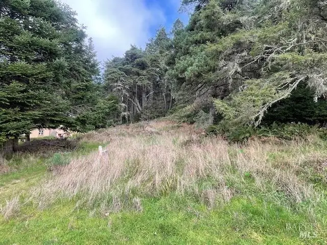 15251 Forest View Road, Manchester, CA 95459 - Image #3