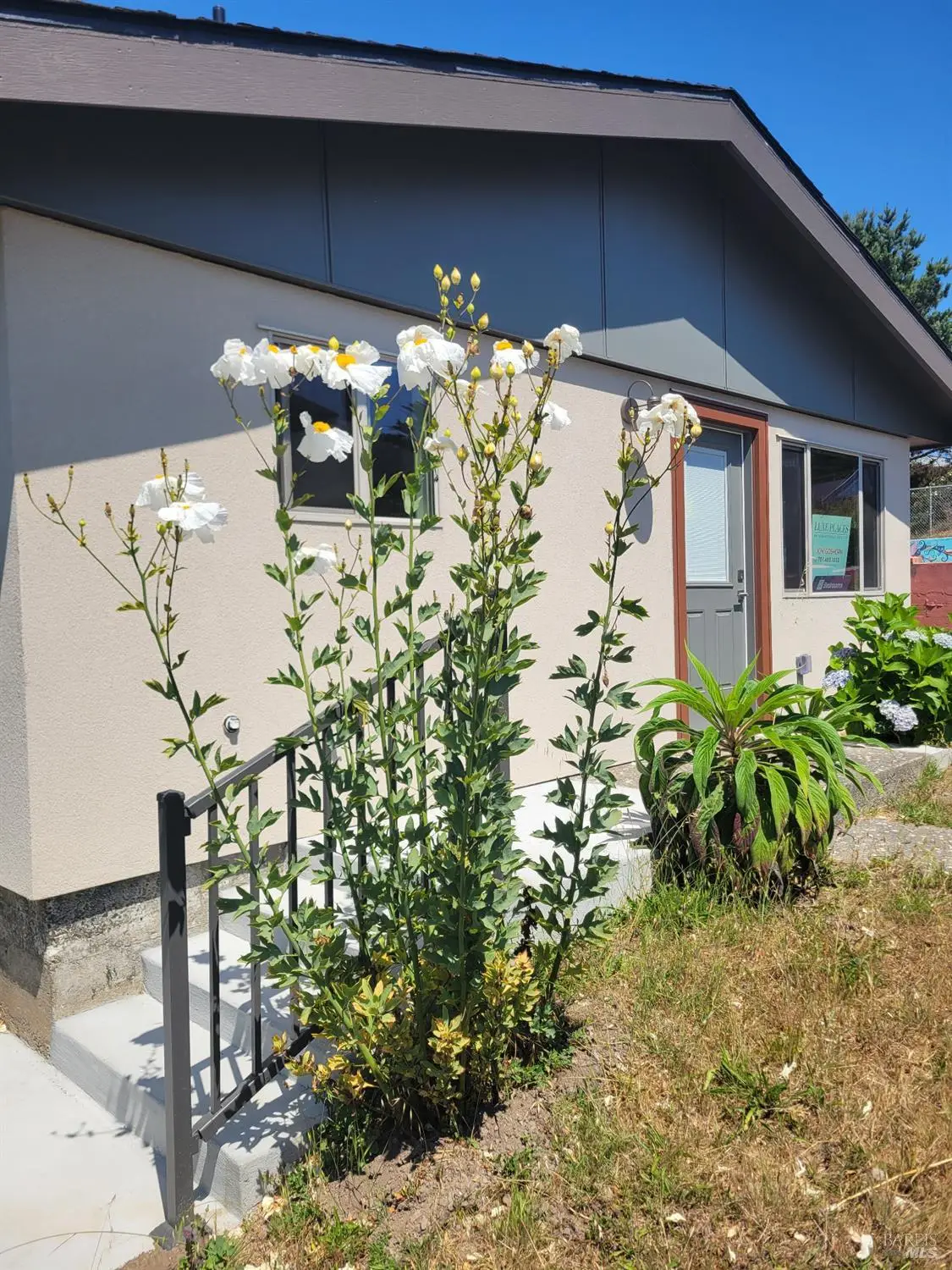 340 Main Street, Point Arena, CA 95468 - Image #1