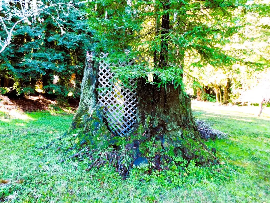 15900 Drake Road, Guerneville, CA 95446 - Image #3