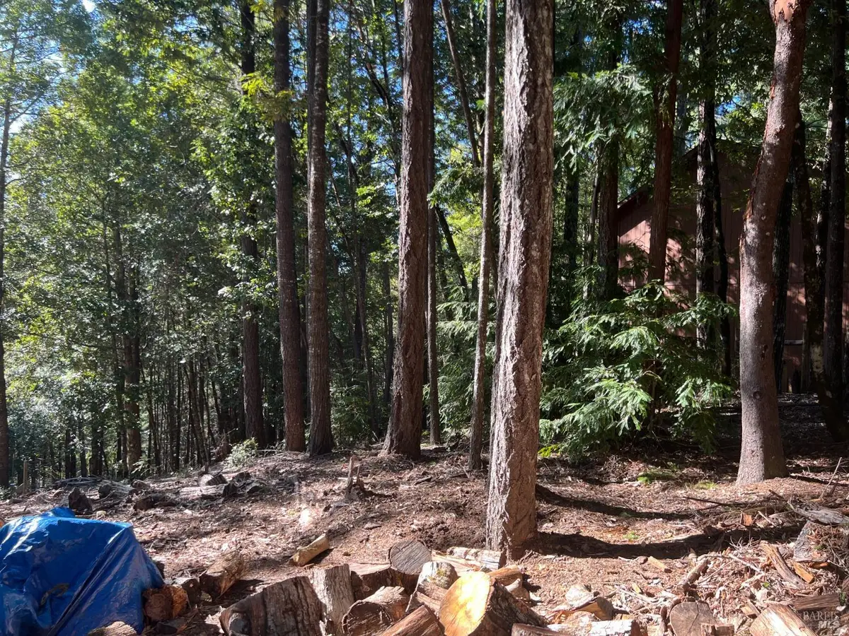 27178 Bear Drive, Willits, CA 95490 - #1