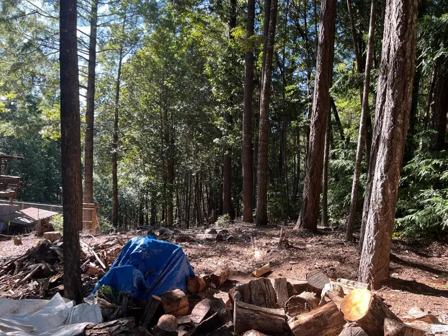 27178 Bear Drive, Willits, CA 95490 - #3