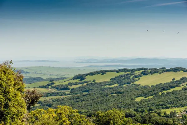 7251 Grove Court, Sonoma, CA 95476