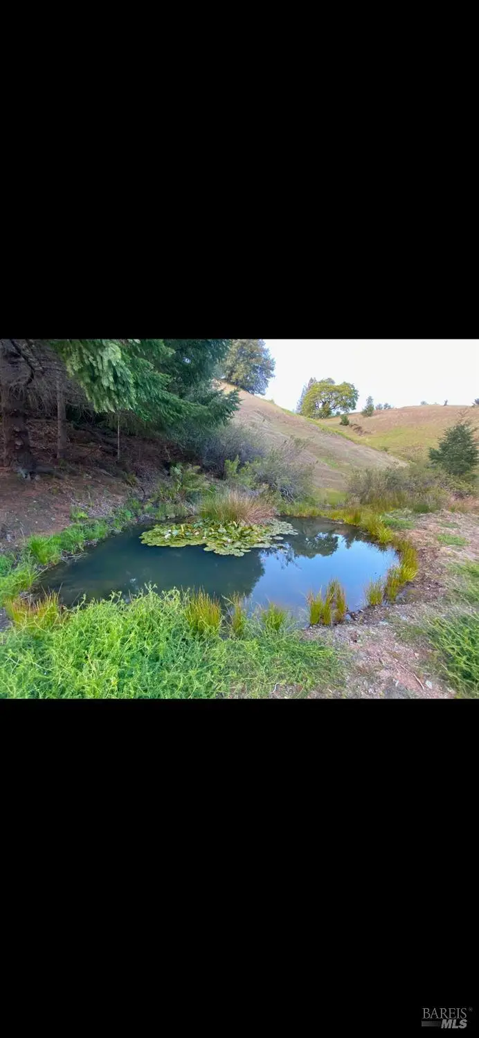 1701 Etter Ranch Road, Garberville, CA 95542 - Image #2