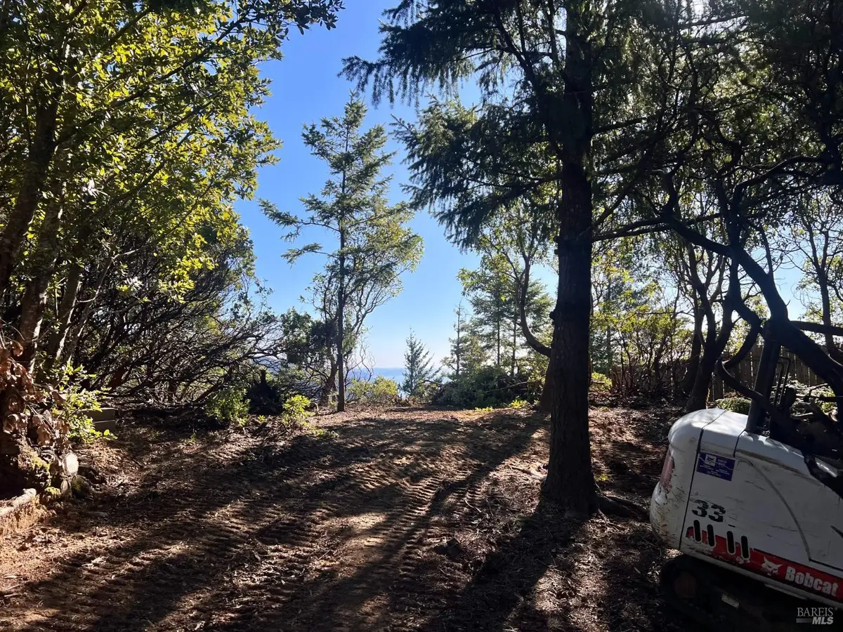 969 Willow Glen Road, Whitethorn, CA 95589 - Image #1