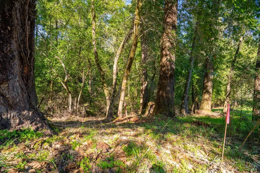 10608 Canyon Road, Forestville, CA 95436 - Image #2