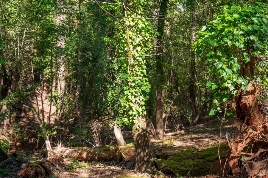 10619 Woodside Drive, Forestville, CA 95436 - Image #3