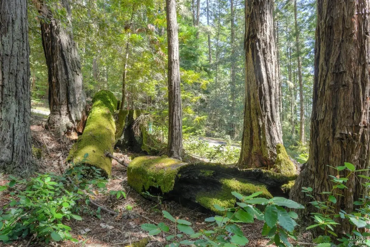 335 Deerfield, The Sea Ranch, CA 95497 - Image #1