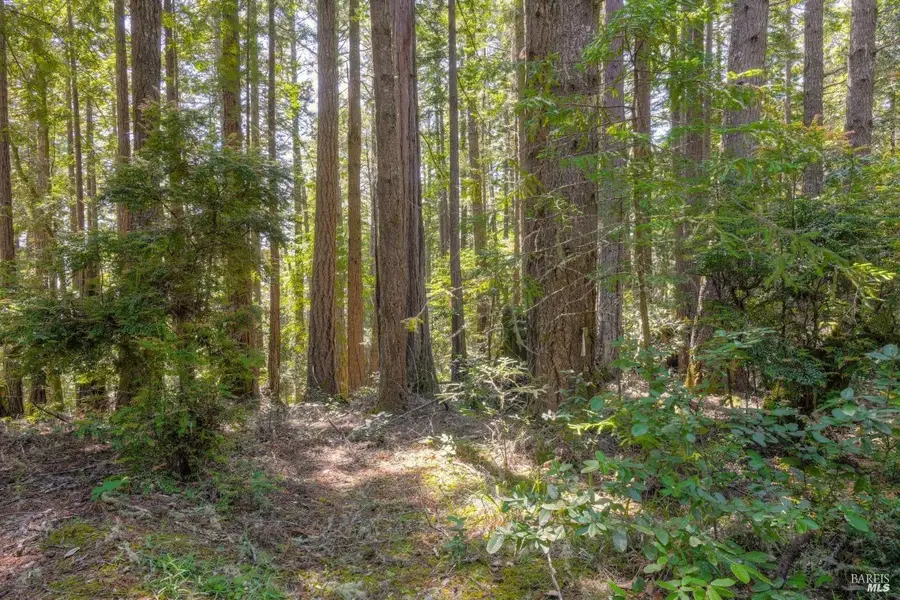 335 Deerfield, The Sea Ranch, CA 95497 - Image #2