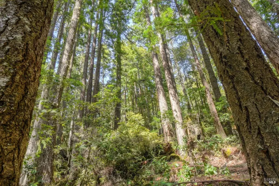 335 Deerfield, The Sea Ranch, CA 95497 - Image #3