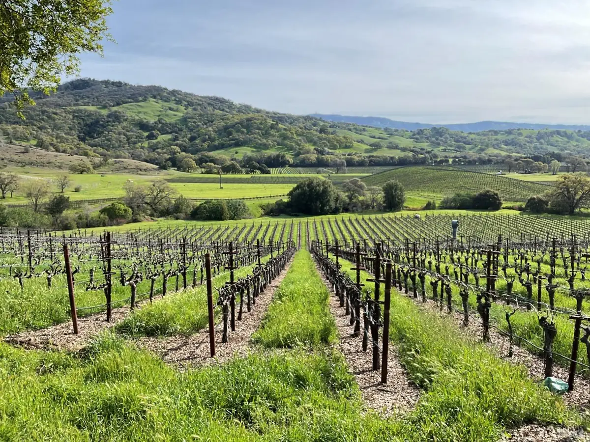 4060 Monticello Road, Napa, CA 94558 - Image #1