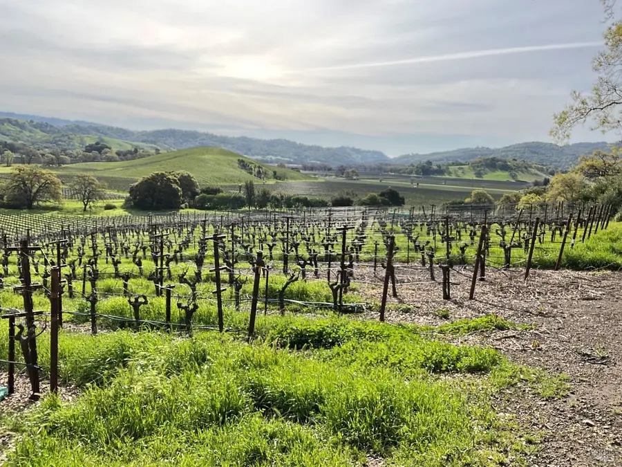 4060 Monticello Road, Napa, CA 94558 - Image #2