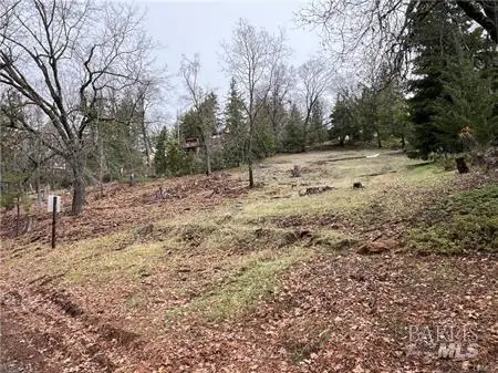 9530 St. Helena Drive, Cobb, CA 95426 - Image #3