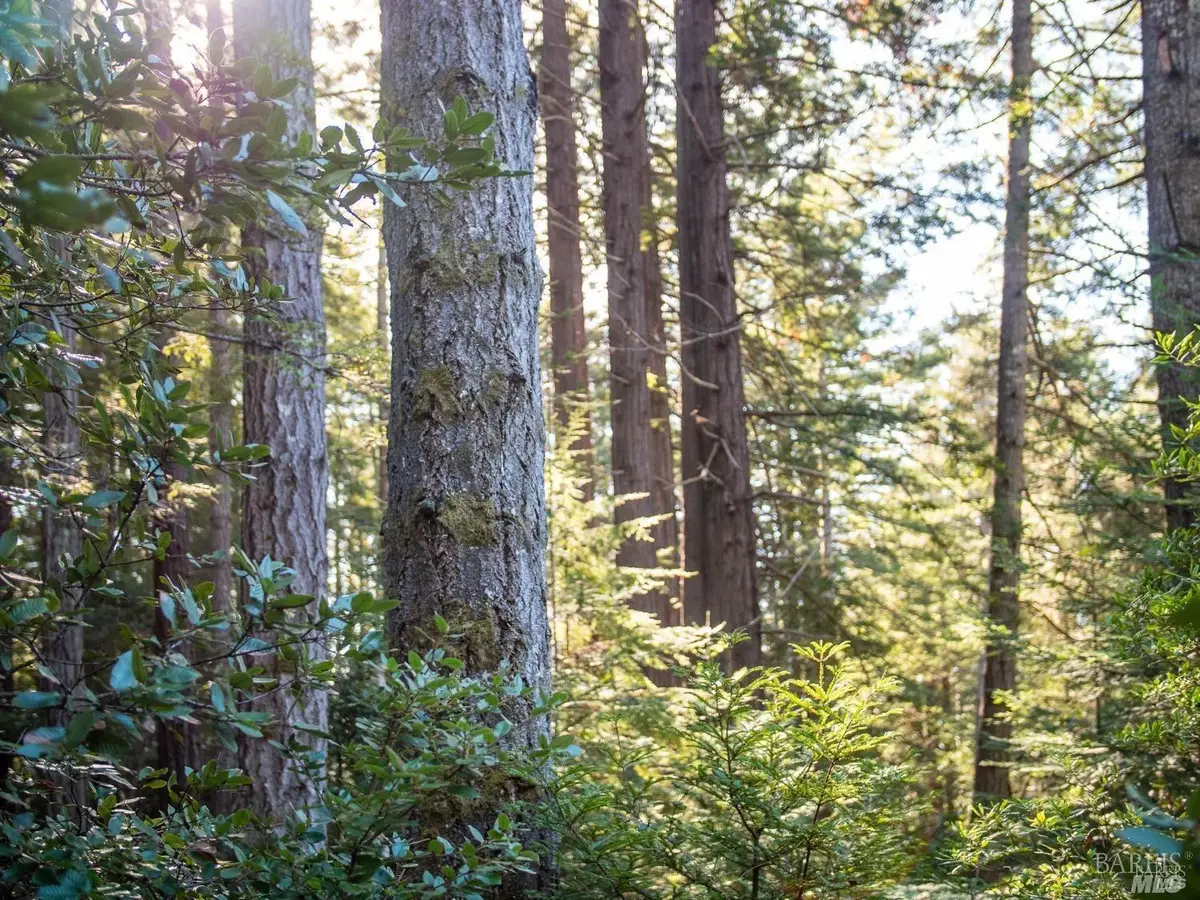 46990 Getchell Gulch Road, Gualala, CA 95445 - Image #1