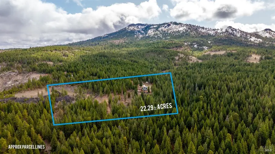 7780 Beckwourth Peak Road, Portola, CA 96122 - Image #2