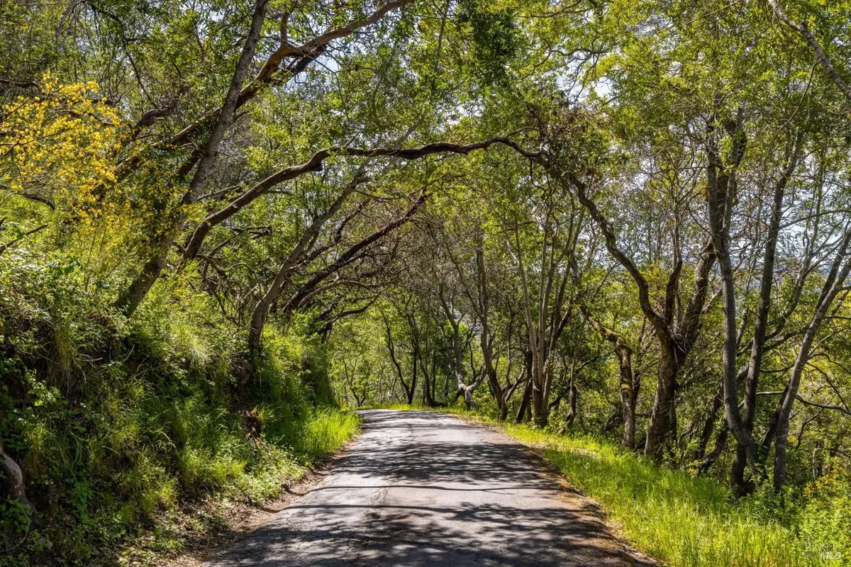 141 Granlee Road, San Rafael, CA 94903 - Image #1