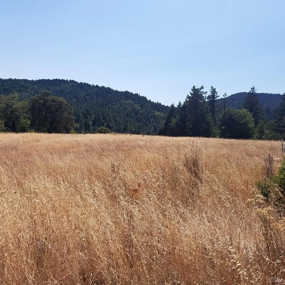 80090 Road 442b Road, Laytonville Leggett, CA 95776 - Image #1