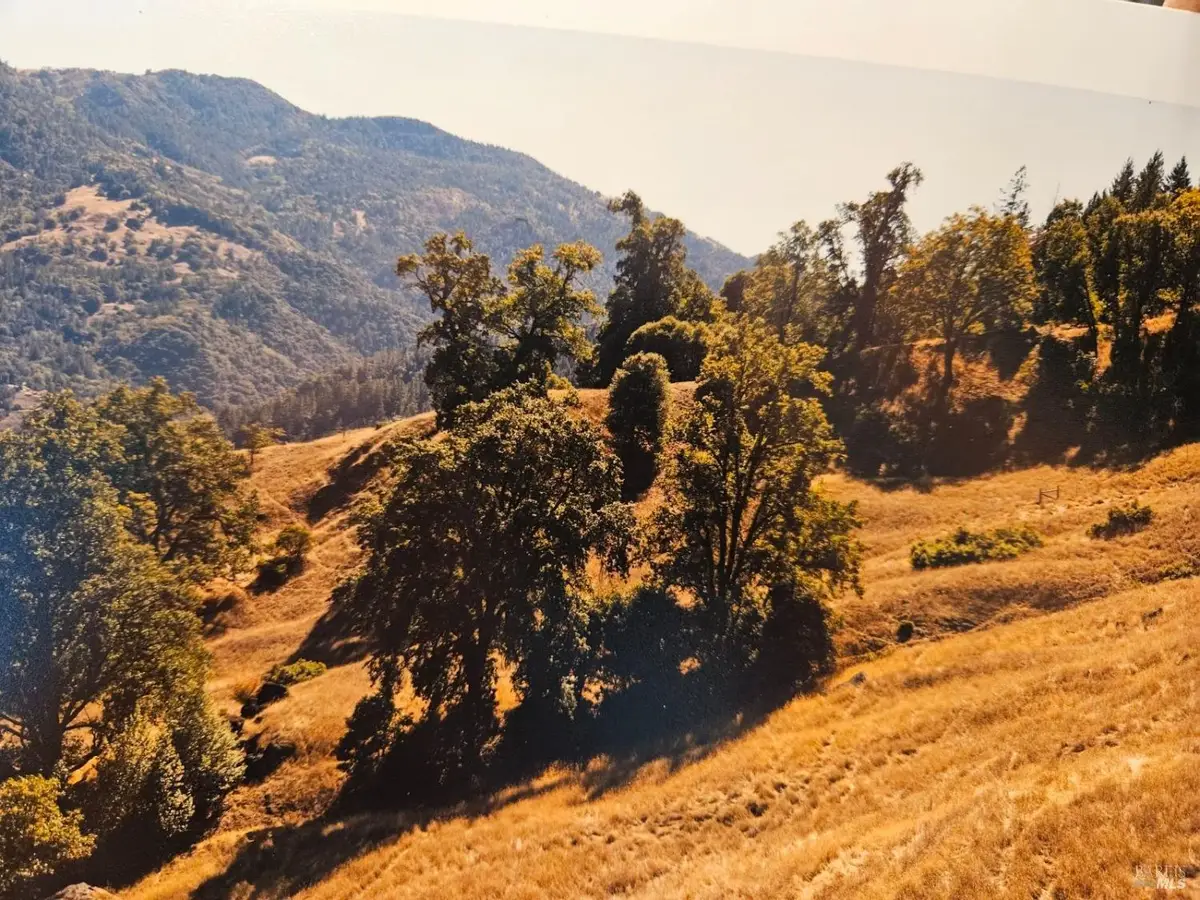 51211 Dunham Road, Laytonville Leggett, CA 95587 - Image #1