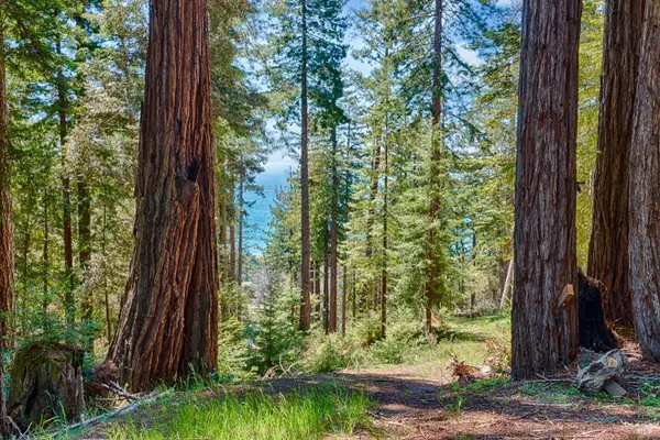 22196 Umland Circle, Jenner, CA 95450