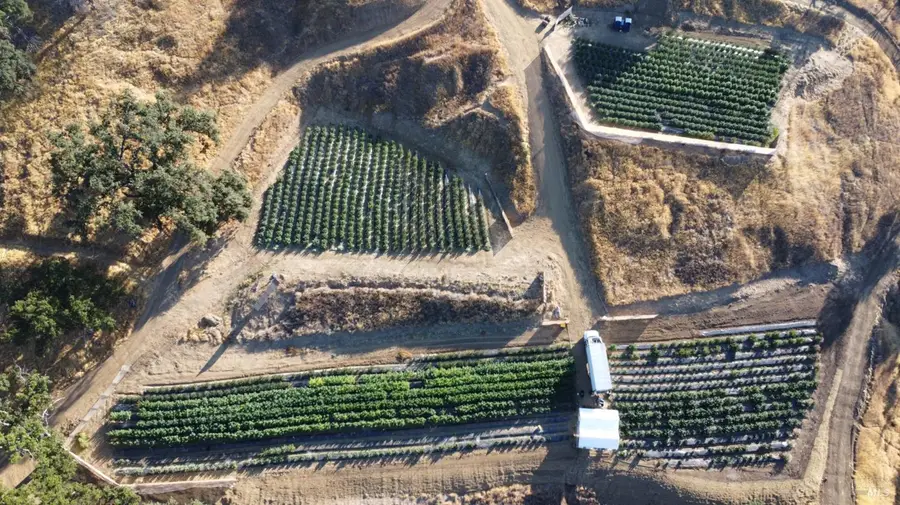 Address Withheld By Seller, Lower Lake, CA 95457 - Image #3