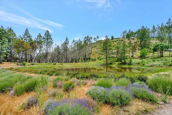 8560 St Helena Road, Santa Rosa, CA 95404