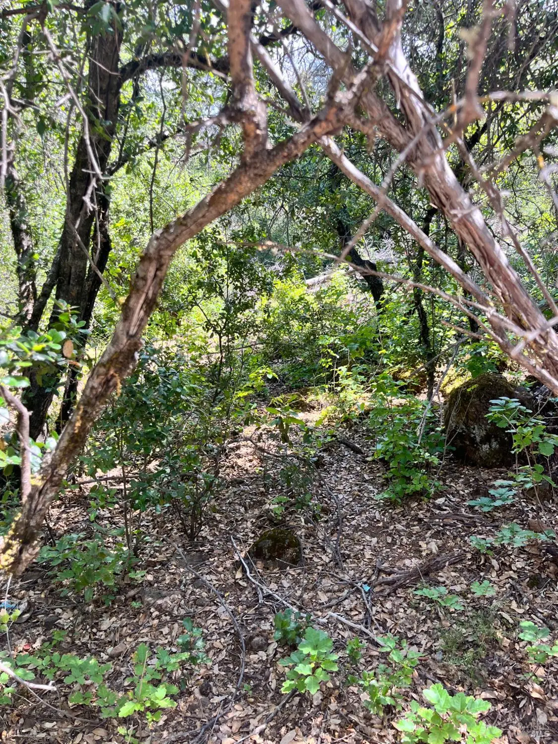 16486 8th Avenue, Clearlake, CA 95422 - Image #1