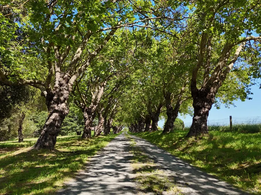 5186 Hwy 116 Highway S, Sebastopol, CA 95472 - Image #2